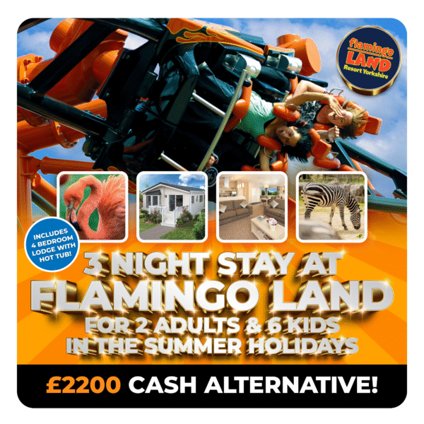 3 NIGHT STAY AT FLAMINGO LAND🦩